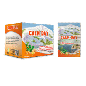 Calmday mockup 2